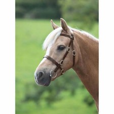 Shires velociti gara plain - velociti,