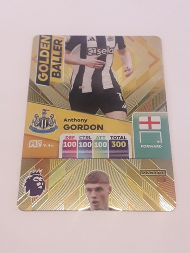 Panini adrenalyn premier - adrenalyn,