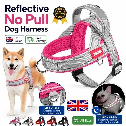 Reflective pull dog - no, harness
