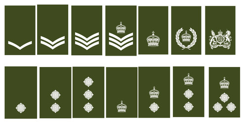 British army ranks vinyl - army,