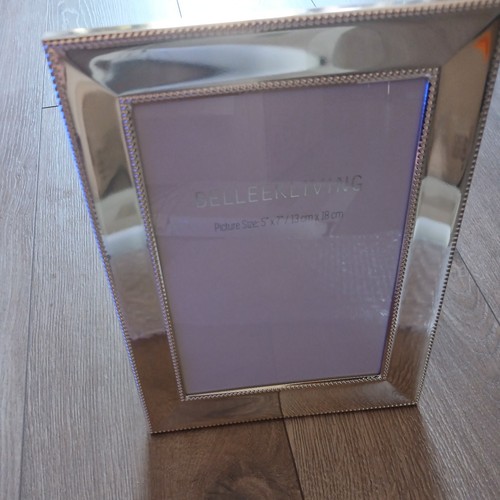 Belleek living silver 7 - silver, x