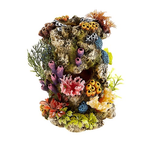 Classic coral stone - stone, with