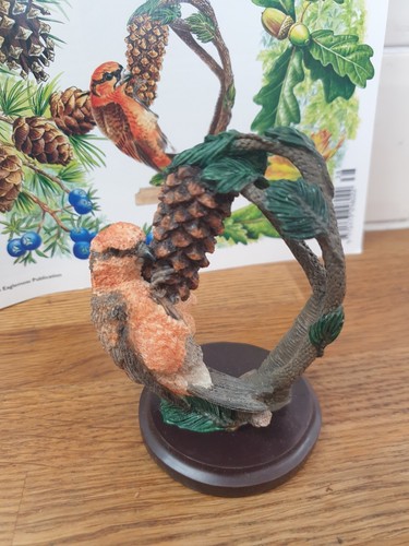 The crossbill by andy - the,