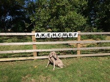 Dressage Markers Small set of 8