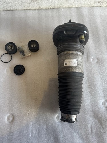Left rear air - left, strut