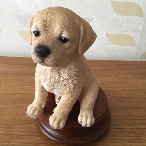 Resin labrador puppy - puppy, on