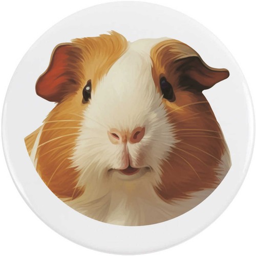 Guinea pig portrait - 'guinea, button