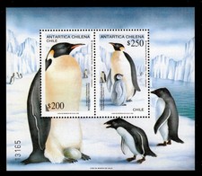 Chile block antarctic - chile,