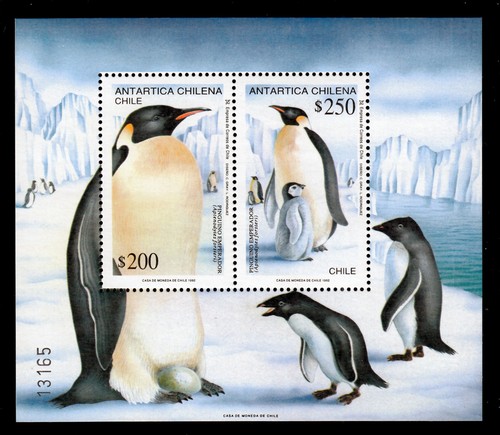 Chile block antarctic - chile,