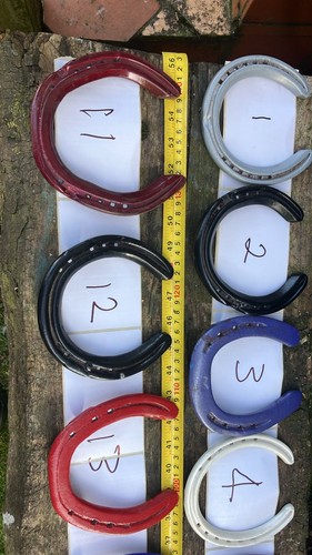 Powder coated horse shoes