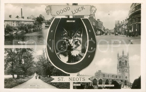 Neots cambridgeshire rppc - cambridgeshire,