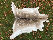 Nice New Real Winter Fallow