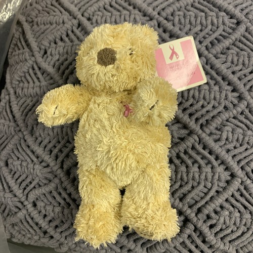 Spencer bear breakthrough - bear,