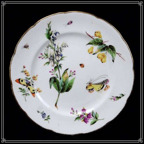 English porcelain plate - english,