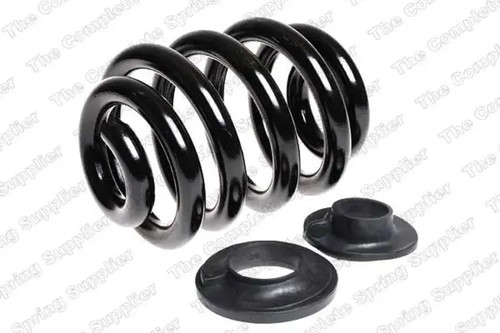 Suspension spring rear axle - rear,