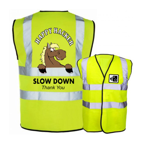 Fun horse riding vis - fun,