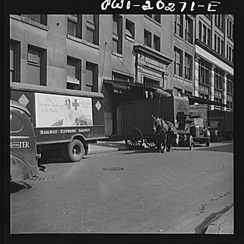 Photo scene horse - photo:scene, city
