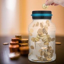 Large 2.5L Digital LCD Pound