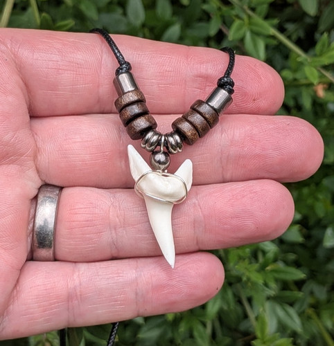 Large replica shark tooth - large,