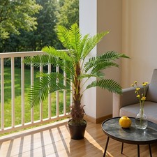 Large Phoenix Fern 35"