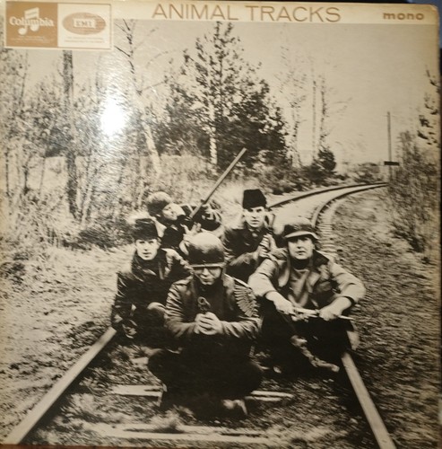 The animals animal tracks - animal,