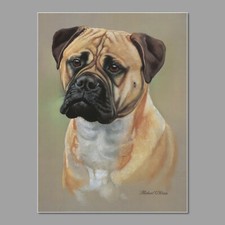 Bull Mastiff Dog Print -