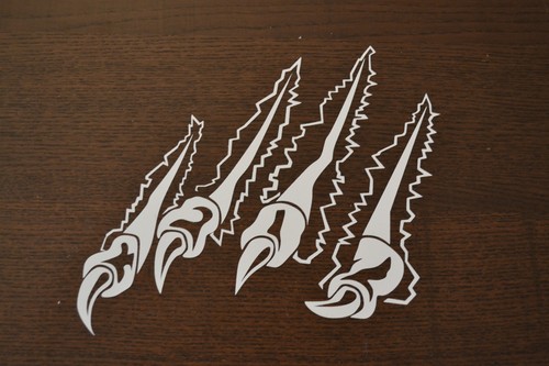 New large bird prey - bird, of