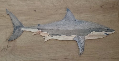 Great white shark - shark, rustic