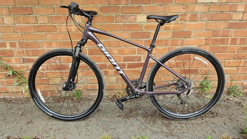 Giant roam disc - disc, 2