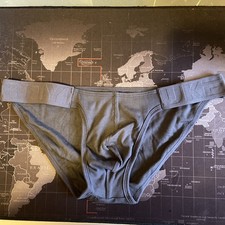 New men's  XL. sexy grey brief