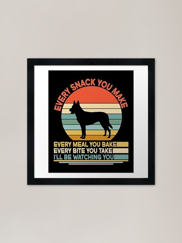 Dutch shepherd every snack you - dutch,