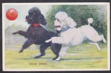 1956 MABEL GEAR  POSTCARD #5337 'HIGH JINKS ' POODLES WITH A BALLOON