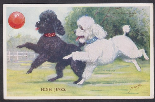 1956 mabel gear postcard - 1956,