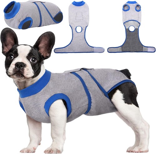 Kuoser dog surgery recovery - surgery,