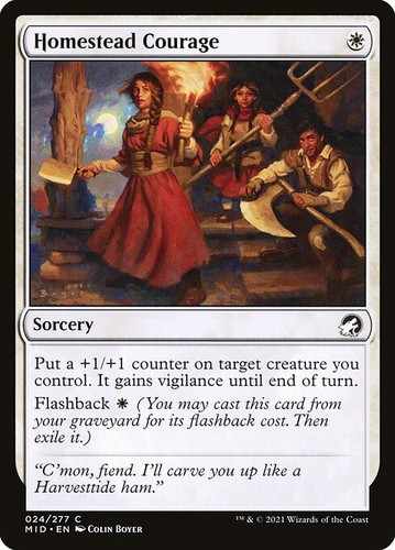 Mtg homestead courage - courage, (024)