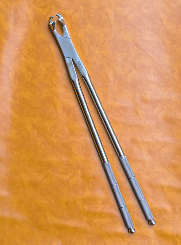 Four prong equine dental - prong,