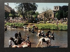 Gypsies Washing Horses Appleby Horse Fair Cumberland Vintage Postcard Q2