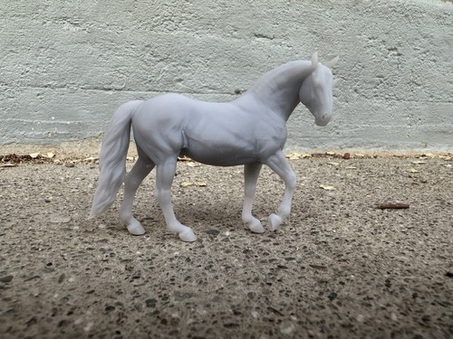 Dragon crossbred horse carola - crossbred,