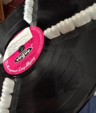 Vinyl Record Cleaning Micro