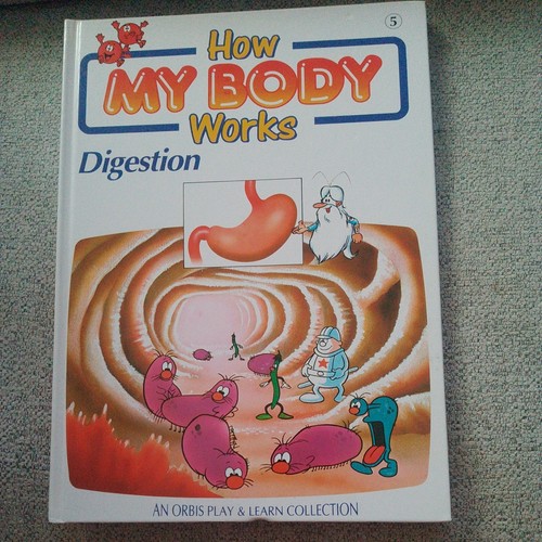 How body works digestion - -,