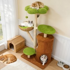 Cute Cat Tree Green Forest