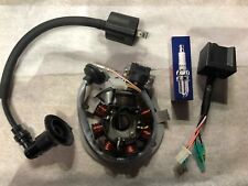 Compatible with Quadzilla 100cc quads ELECTRIC KIT, 100CC CDI COIL PLUG & STATOR