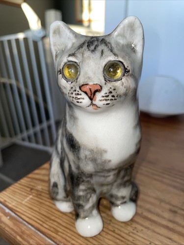 Winstanley grey white - winstanley, tabby