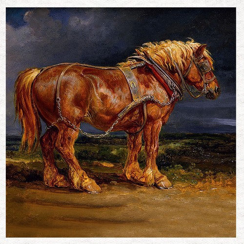 Vintage shire horse - vintage-shire,
