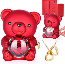 Elegant Preserved Rose Teddy