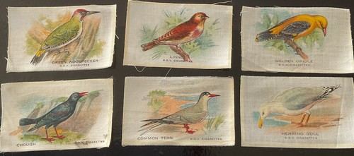Godfrey phillips bdv bird silk - phillips,