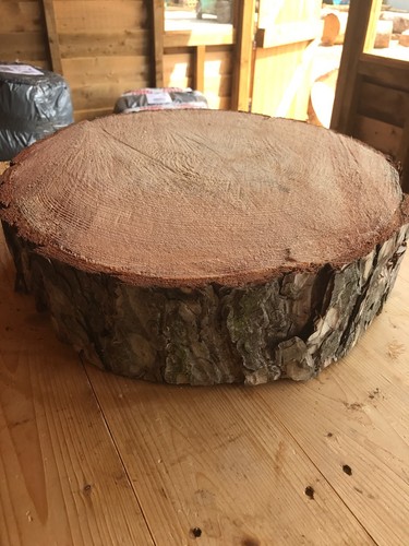 Rustic log - x,