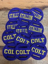 1 X  6cm Purple & Gold HOYS THEME  Stallion Bridle Discs  Shetland Mini Horse