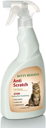 Sweet willow kitty behave - sweet, cat