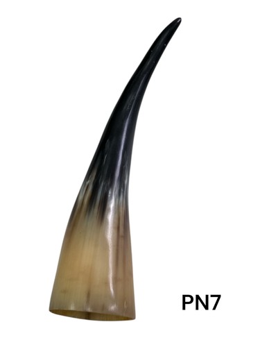 One polished cow - ,